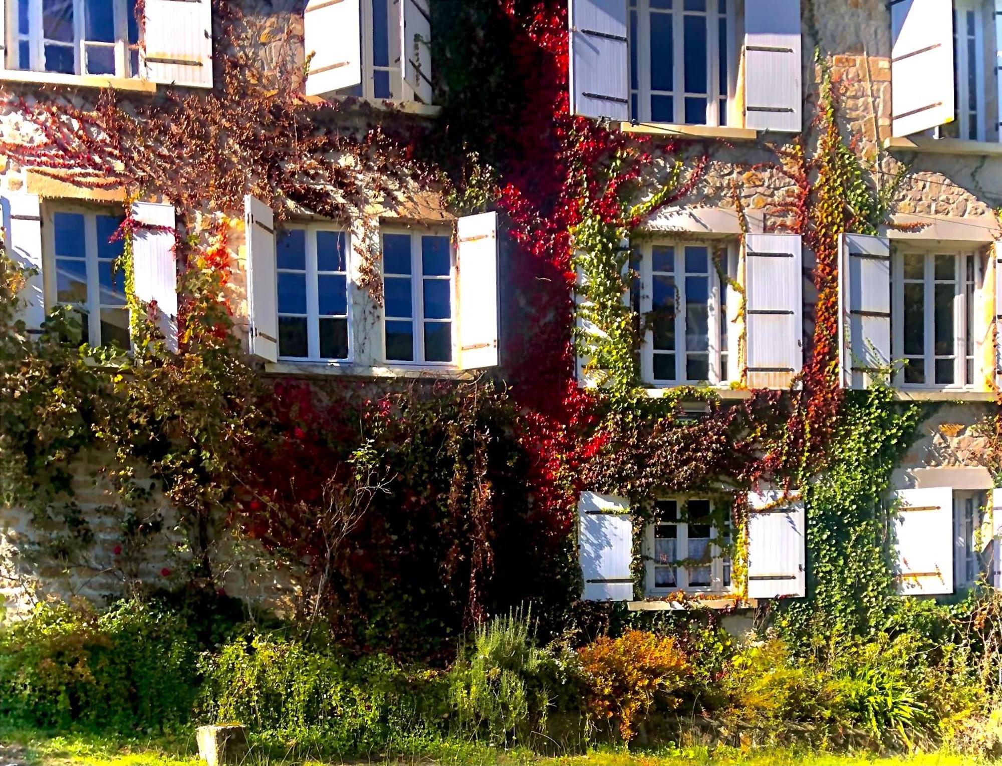 Le Chambon, Chambres D'Hotes Saint-Merd-de-Lapleau 외부 사진